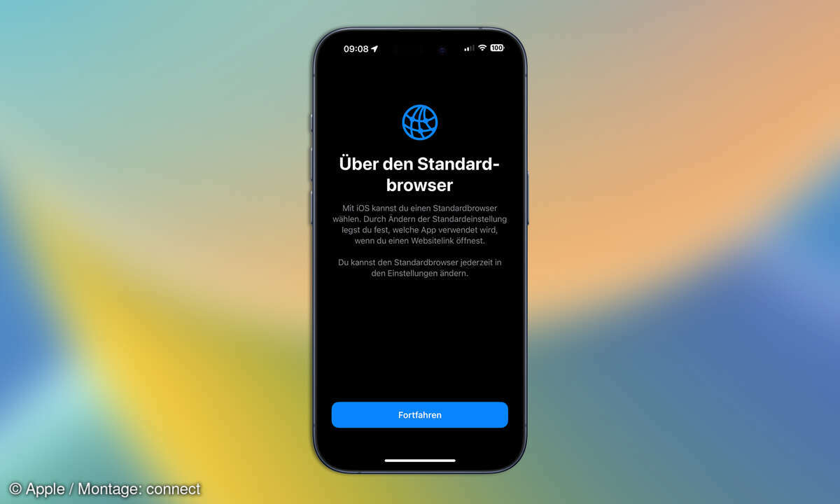iOS 17.4 Standard-Browser